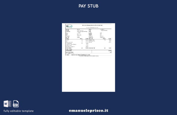 modello di busta paga per servizi di integrità aziendale in stile verificato